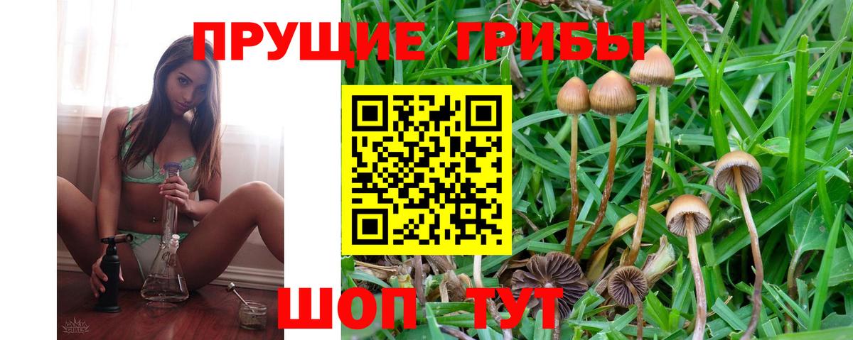 Галлюциногенные грибы GOLDEN TEACHER  Вход с VPN  Ярославль 